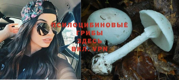 соль курить ск Калач
