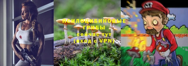 экстази Кадников