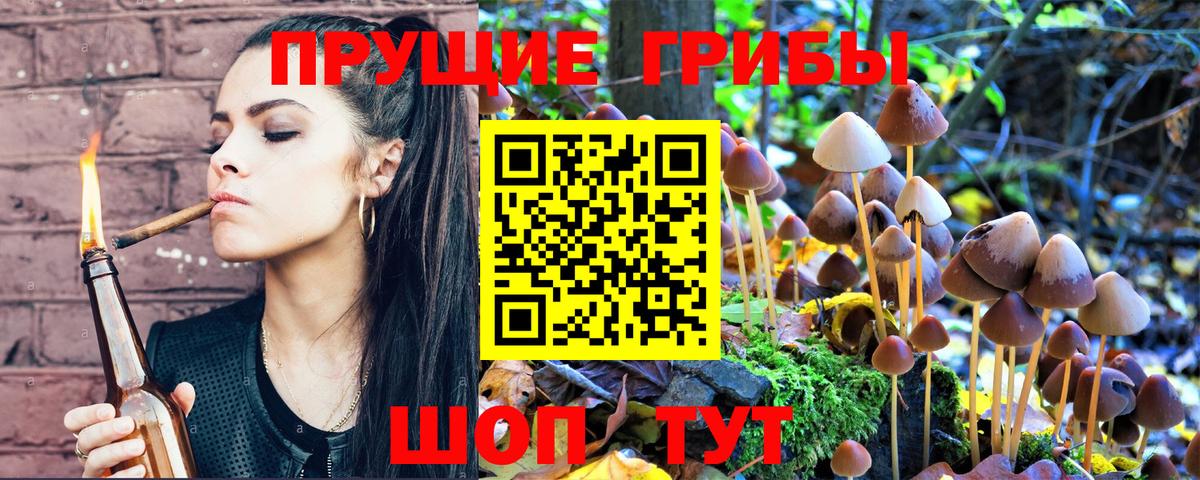 Галлюциногенные грибы прущие грибы  Галлюциногенные грибы мухоморы  Кинель 