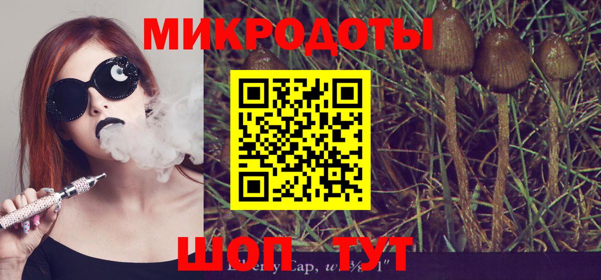 Кинель  Псилоцибиновые грибы GOLDEN TEACHER  Галлюциногенные грибы Psilocybe  Вход с VPN 